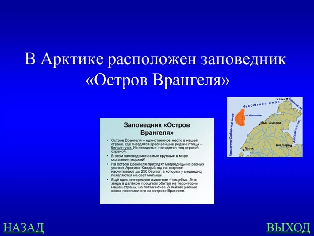 Остров Врангеля природная зона 4 класс. Остров Врангеля заповедник природная зона. Арктический заповедник расположен. Заповедник остров Врангеля расположение.