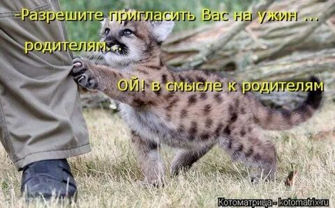 Позвольте пригласить