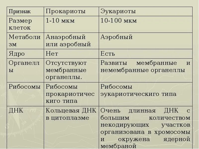 Эукариоты отличия. Сравнительная таблица прокариот и эукариот. Характеристика эукариотической клетки.