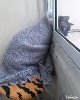 Похолодало доброе