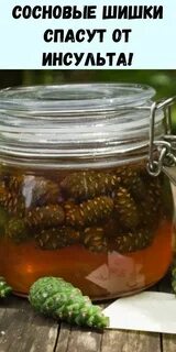 Настойка из зеленых сосновых шишек