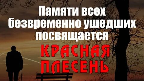 Плесень памяти