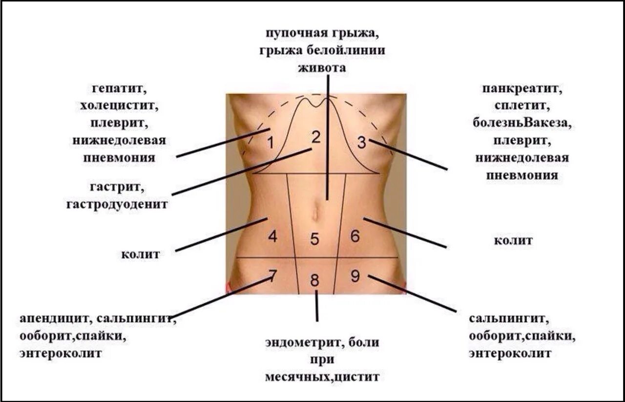 Тянущее ощущение внизу живота. Дискомфорт с левой стороны живота. Болит низ живота с правой стороны. Боль в животе слева.