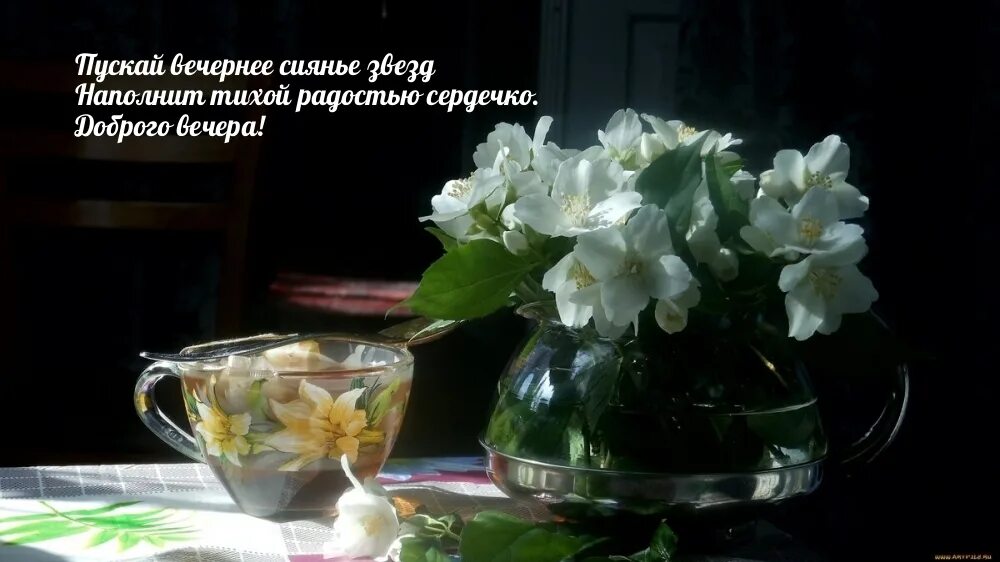 Доброго нежного весеннего вечера. Натюрморт с жасмином. доброго весеннего вечера. добрый весенний вечер за чашкой чая.