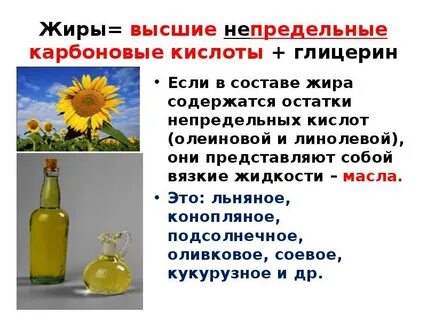 Высшие жиры входят в состав