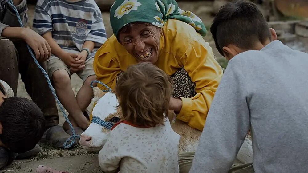 Страна меда. Honeyland. страна меда фильм. «страна меда», реж. тамара котевска, любомир стефанов, 2016.