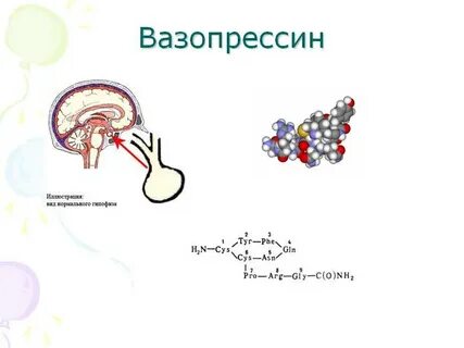 К чему приводит недостаток вазопрессина