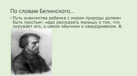 Белинский высказывания