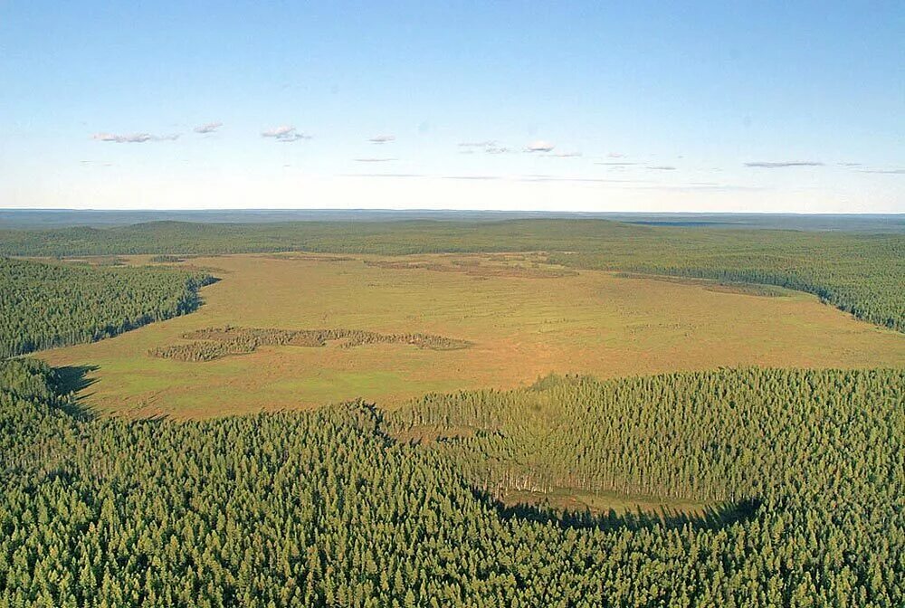 Tunguska event