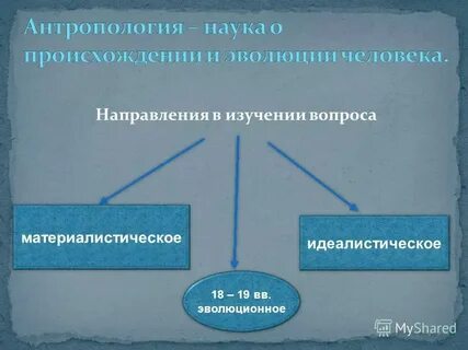 Происхождение социальная принадлежность тургенева
