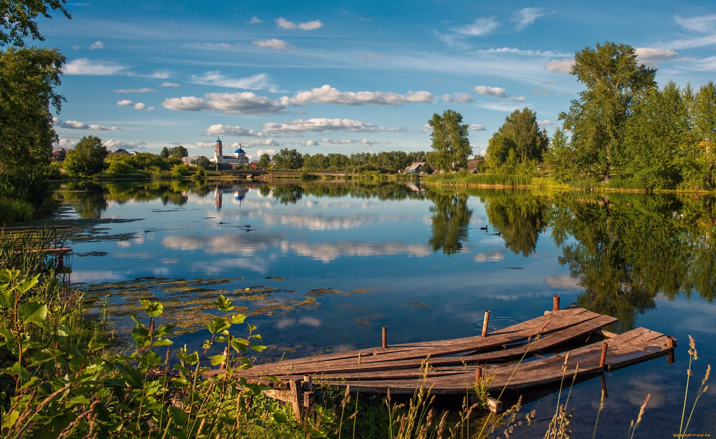 Озеро Днико. Природа деревня река. Озеро в деревне. Дерево у озера. Природа плавней