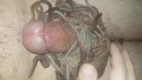 Worms In Dick Porn.