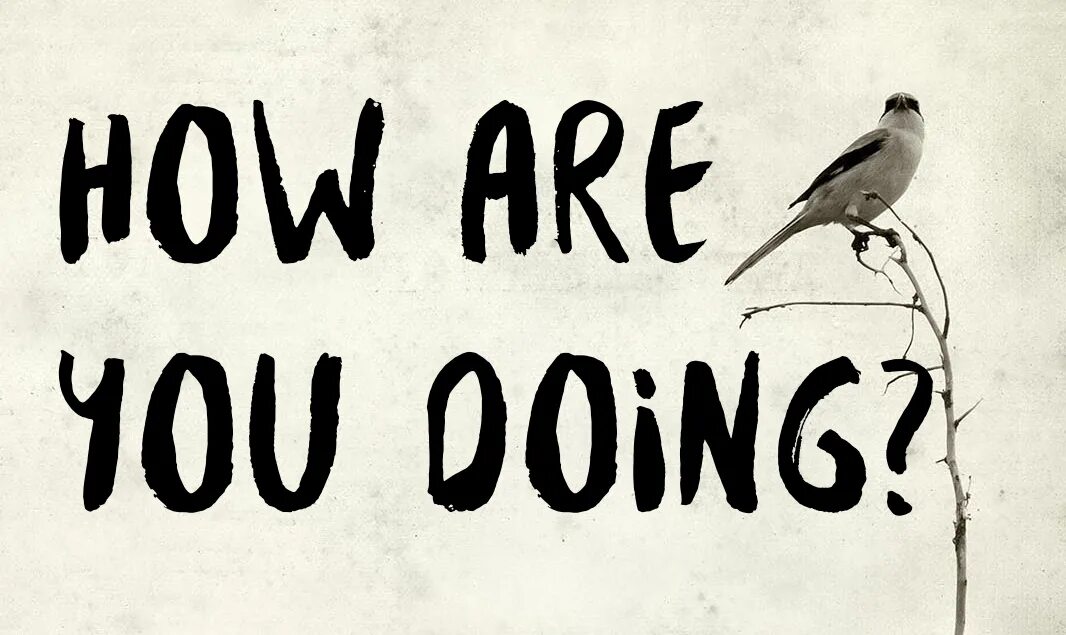 How are you what s new. How are you?. How картинки. Надпись how are you today. How are you doing.