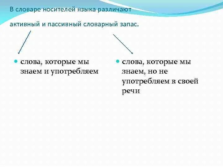 Пассивный словарь слова. Активный и пассивный словарный запас. Активная и пассивная лексика. Активный и пассивный запас языка это. Лексика активного и пассивного словарного запаса.