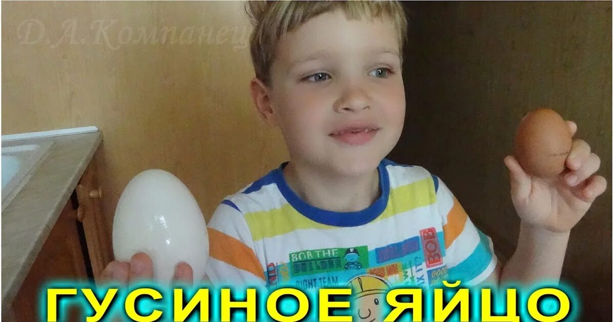 Самое большое яйцо. Чьи яйца самые большие. Мальчики большие яички