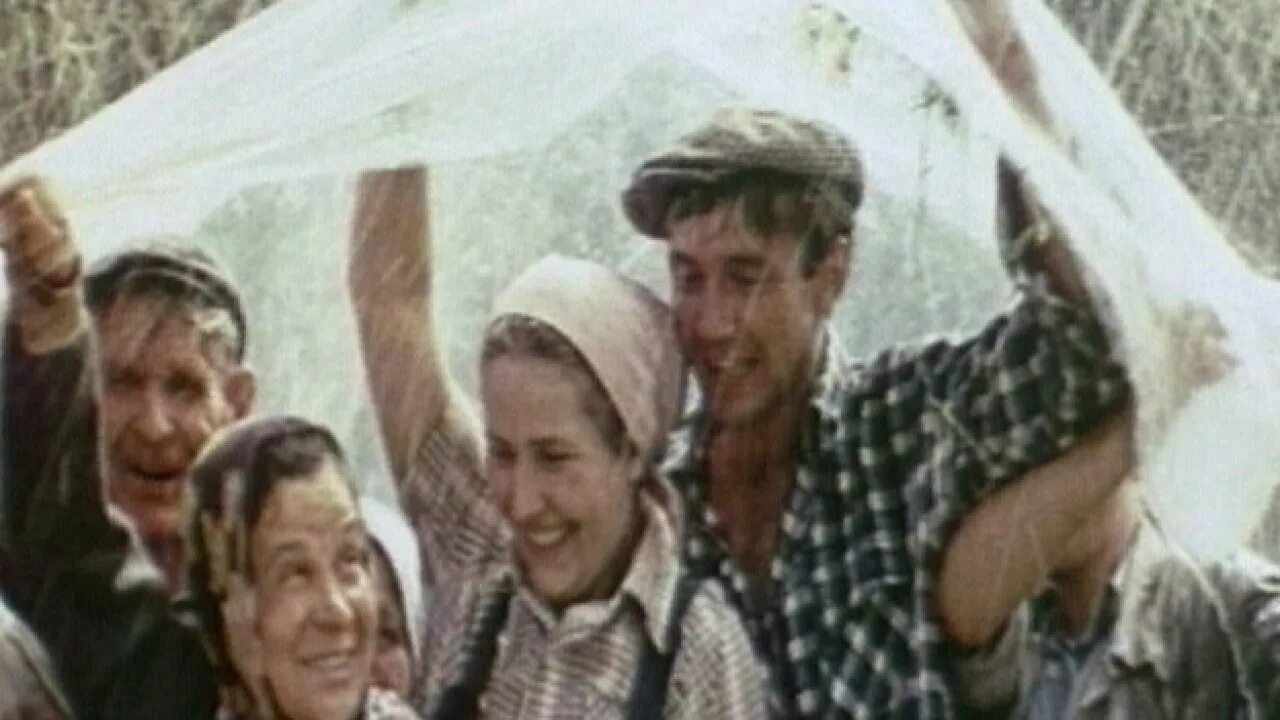 Рябиновые ночи 1984. Рябиновые ночи 1984. Рябиновые ночи 1984. Рябиновые ночи 1984. Алик бендерский рябиновая ночь.
