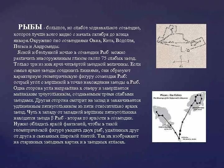 Осенние созвездия рассказы. Созвездие рыбы. Созвездие рыбы описание. Созвездие рыбы доклад. Созвездие рыбы мифология.