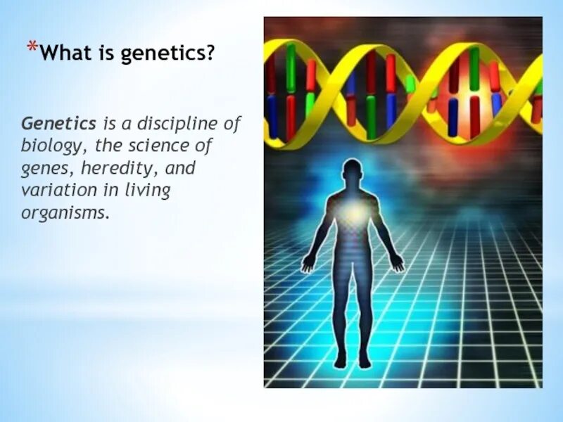 What does genetics as a science study. What is genetic engineering. генетикс. генетика как наука рисунок. семинае монстр генетикс.