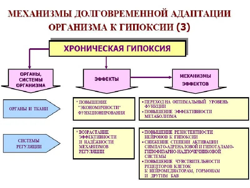 Экстренная гипоксия. Долговременные механизмы адаптации при гипоксии. Механизмы срочной и долговременной адаптации к гипоксии. Экстренная адаптация к гипоксии схема. Механизмы экстренной адаптации организма при гипоксии.