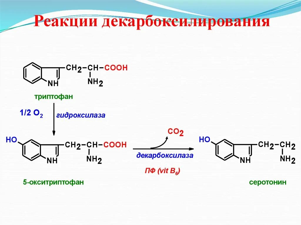 Схема декарбоксилирования триптофана. Дезаминирование триптофана реакция. Декарбоксилирование триптофана реакция. Декарбоксилирование Серина реакция. Декарбоксилирование аминокислот реакция