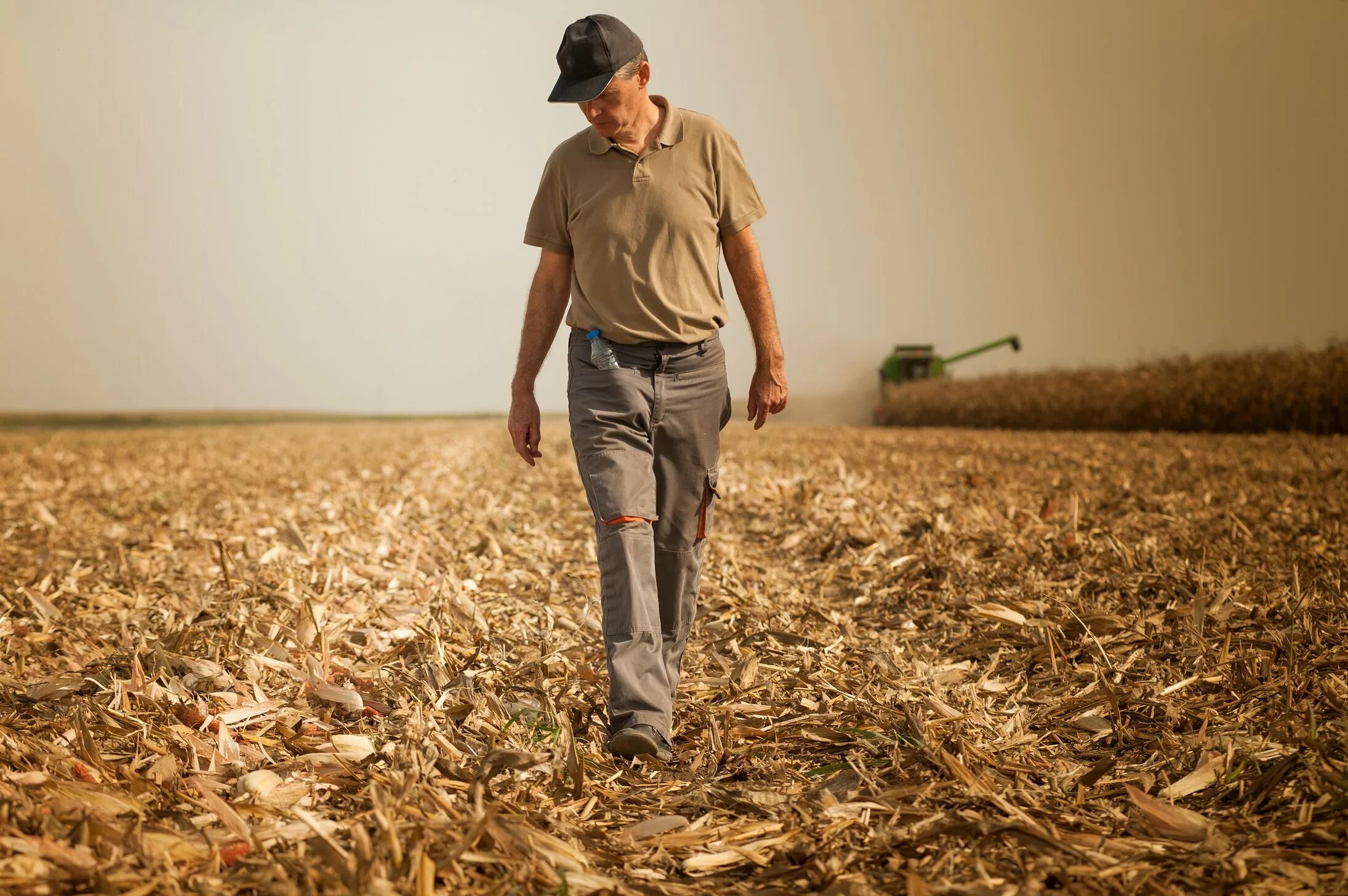 Agricultor. Harvesting. Soja. A new report says