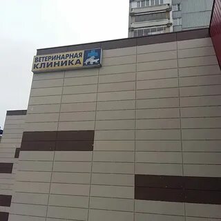 Налоговая малыгина часы