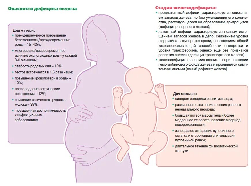 Заболевание матери. Ферритин норма при беременности 2. Дефицит железа при беременности 3 триместр. Ферритин при беременности 1 триместр норма. Сывороточное железо норма при беременности в 3 триместре.