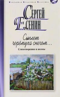 С есенин сыплет черемуха снегом