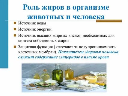 Физиологическая роль жиров