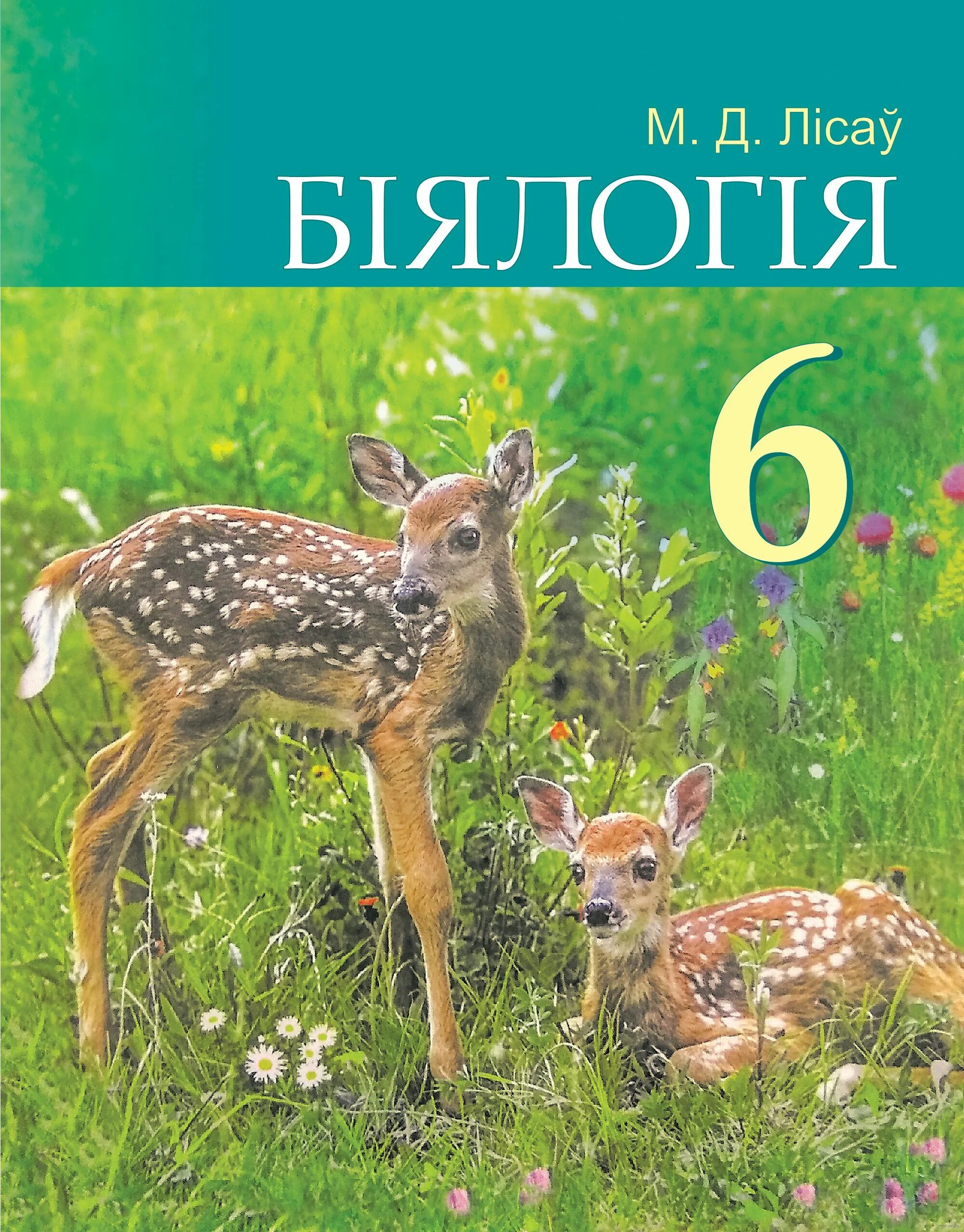 Книга лисова. Учебник биологии 6 класс РБ. Биология. 6 Класс. Учебник. Книга биология 6 класс. 6 А биология книга.