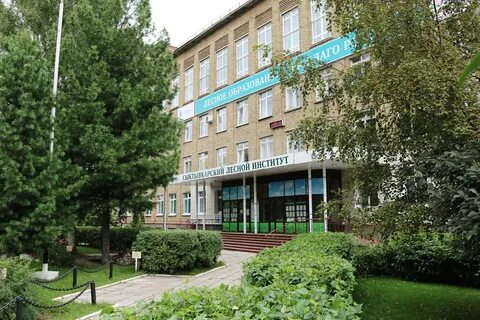 Сли н
