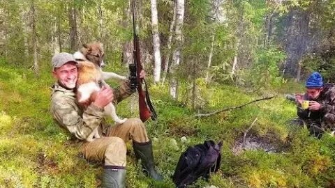 Таежные приключения новые видео