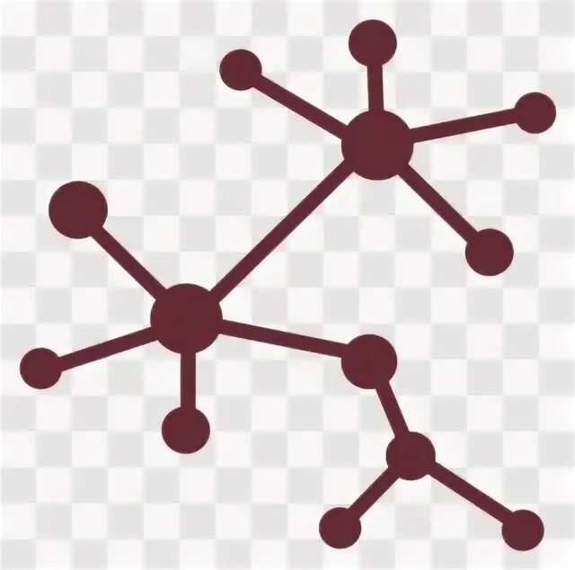Network 2