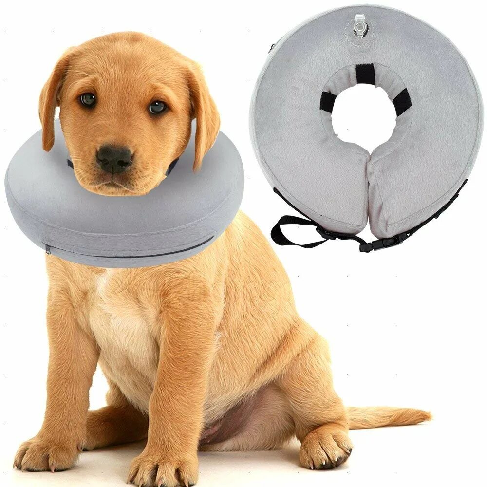 Воротник для собаки. Защитный воротник kruuse buster soft collar. елизаветинский воротник для собак. защитный воротник для алабая. послеоперационный ошейник для собак.