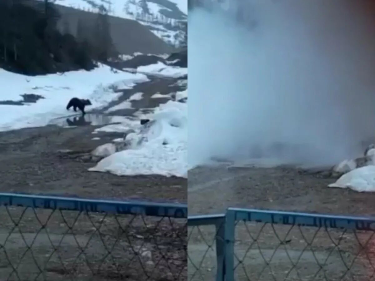 Вахтовики якутии. Вахтовики якутии
