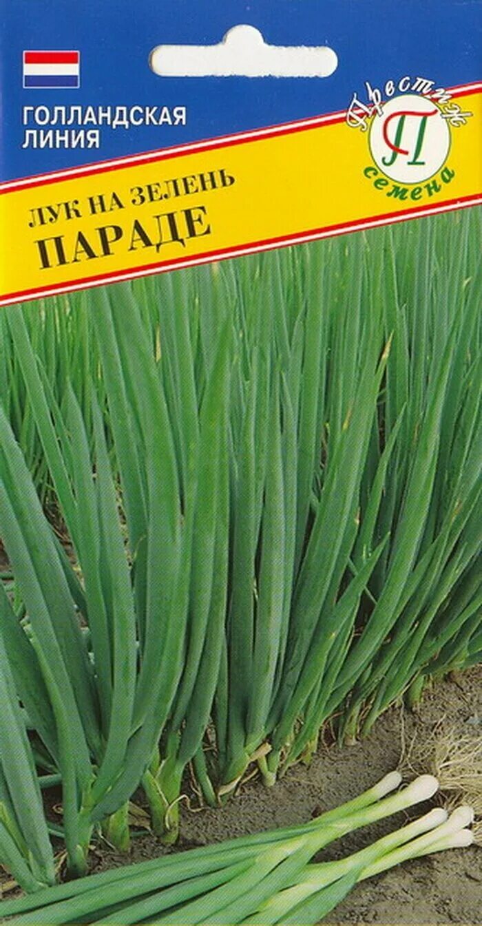 лук параде. лук на зелень параде. лук батун параде bejo семена. лук батун параде bejo семена. многолетний лук батун.