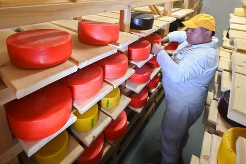 Сыроварня шаховская