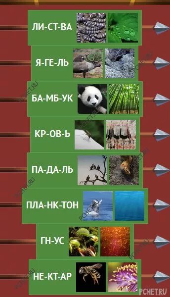 Пищевая цепочка логика слов. Орден слов пищевая цепочка. Пищевая цепочка логика слов 6 замок. Логика слов игра замок.