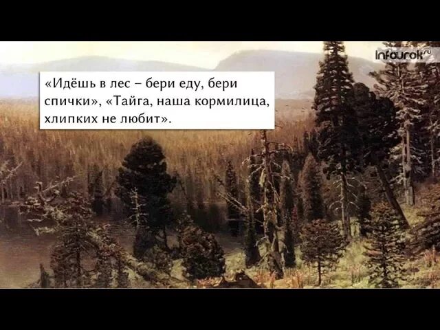 Зачем мальчик отправился в тайгу васюткино озеро. Тайга наша кормилица хлипких не любит Васюткино озеро. Сочинение Тайга наша кормилица. Тайга наша кормилица сочинение 5. Сочинение Тайга наша.