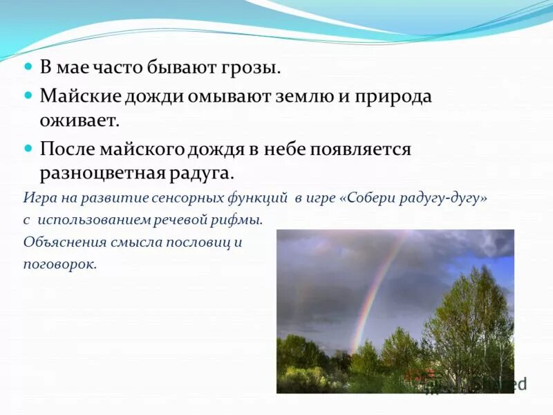 После майского дождя в лесу сочинение егэ. После майского дождя в лесу сочинение егэ