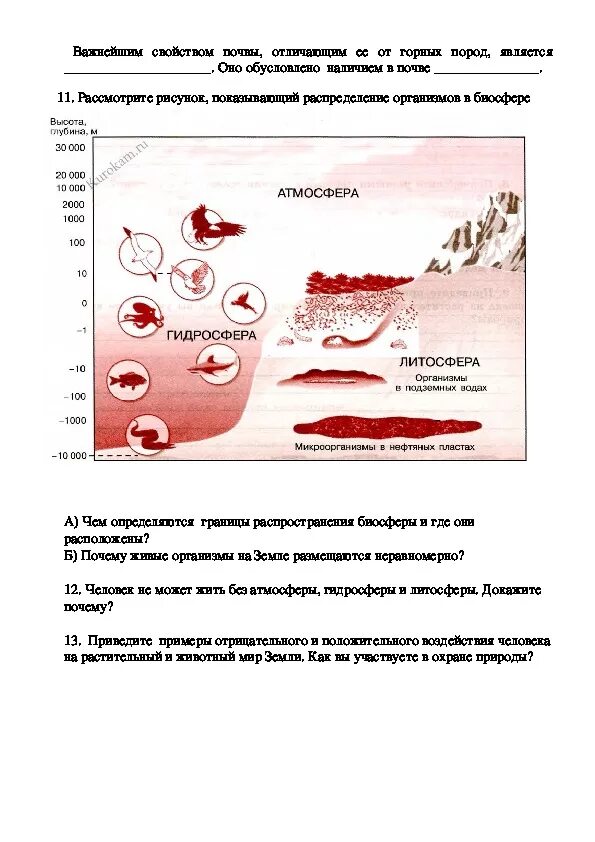 Контрольная работа по теме Биосфера. Контрольная работа по географии 6 класс Биосфера. Работа по географии Биосфера. Контрольная работа по теме Биосфера 6 класс. Задания по теме биосфера