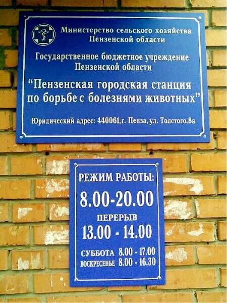 Пенза ул толстого. Пензенская городская станция по борьбе с болезнями животных. Ветеринарная клиника Каменка Пензенская область. Городская станция по борьбе с болезнями животных. ГБУ станция по борьбе с болезнями животных.