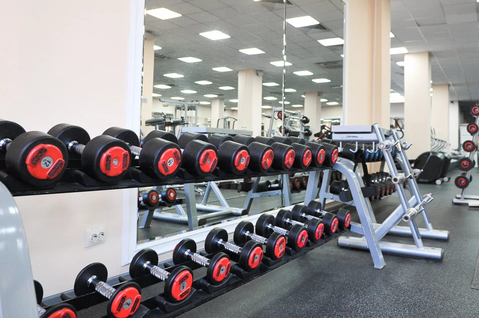 Iron fitness дубна. Fitness сергиев посад. Fitness сергиев посад. Виктория фитнес сергиев посад северный. Айрон фитнес гранд парк сергиев посад.