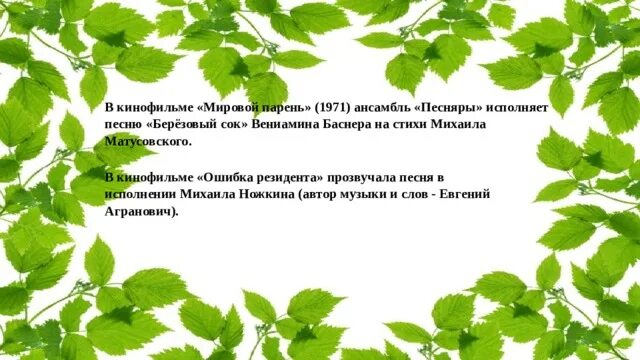 Сок каких деревьев можно пить. Сокодвижение деревьев. Сокодвижение у березы. Березовый сок витамины содержит. Березовый сок приметы.