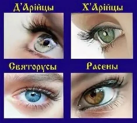 Кто такие арийцы. Цвет глаз рассены святорусы. Карта расселения арийцев. Цвет глаз дарийцы харийцы. Народы относящиеся к арийцам.