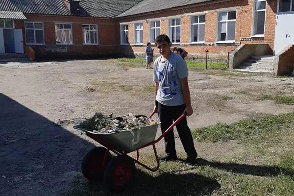 Погода п часам. Школа Тарасовский район Хутор Мартыновка. Курно Липовская СОШ. Курно-Липовская СОШ Тарасовского района. Село Курно Липовка.