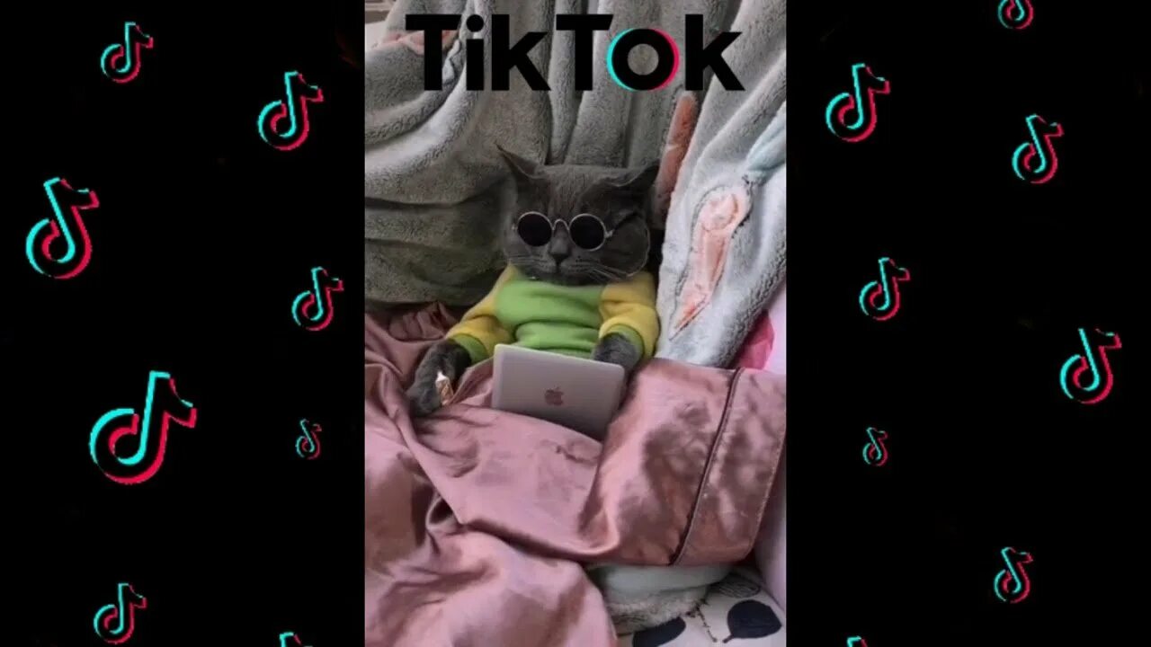 Смешные мемы для тик тока. Приколы из тик тока. Смешные картинки тик ток. Гигабайт мем из тик тока. Смешные приколы из тик тока.
