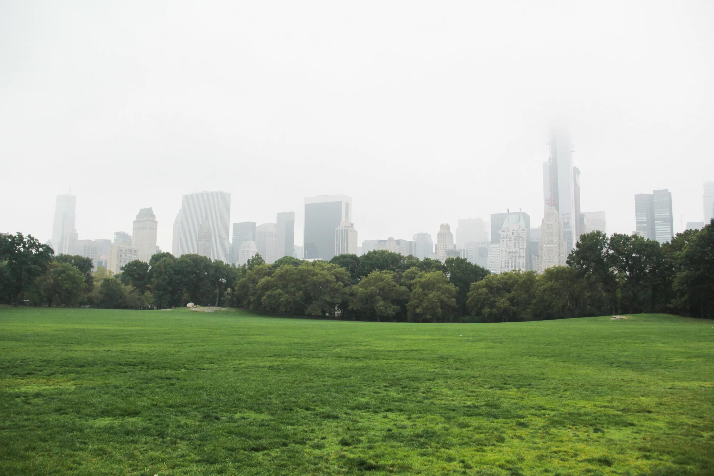 Окна холм. Городская среда Нью Йорк Центральный парк. Панорама деревья. Панорама города с деревьями. Деревья на заднем плане.