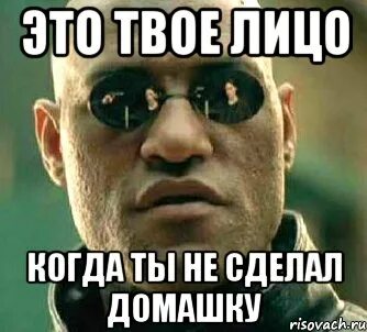 Скажи домашку