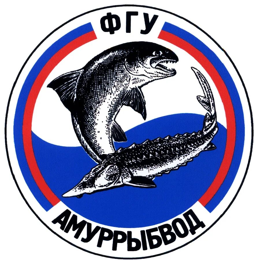 бассейновое управление по рыболовству. фгбу главрыбвод. северо-западное ту росрыболовства. бассейновое управление по рыболовству. бассейновое управление по рыболовству.